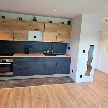 Charmant Appartement Tout Equipe Seilh Zewnętrze zdjęcie